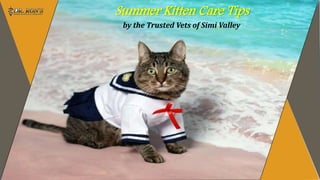 Summer Kitten Care Tips
by the Trusted Vets of Simi Valley
 