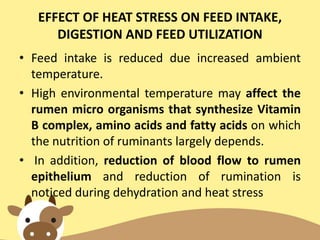 EFFECT OF HEAT STRESS ON FEED INTAKE,
DIGESTION AND FEED UTILIZATION
• Feed intake is reduced due increased ambient
temperature.
• High environmental temperature may affect the
rumen micro organisms that synthesize Vitamin
B complex, amino acids and fatty acids on which
the nutrition of ruminants largely depends.
• In addition, reduction of blood flow to rumen
epithelium and reduction of rumination is
noticed during dehydration and heat stress
 