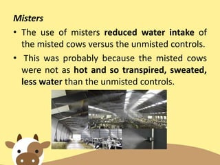 Misters
• The use of misters reduced water intake of
the misted cows versus the unmisted controls.
• This was probably because the misted cows
were not as hot and so transpired, sweated,
less water than the unmisted controls.
 