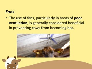 Fans
• The use of fans, particularly in areas of poor
ventilation, is generally considered beneficial
in preventing cows from becoming hot.
 
