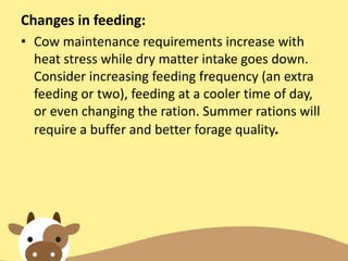 Changes in feeding:
• Cow maintenance requirements increase with
heat stress while dry matter intake goes down.
Consider increasing feeding frequency (an extra
feeding or two), feeding at a cooler time of day,
or even changing the ration. Summer rations will
require a buffer and better forage quality.
 