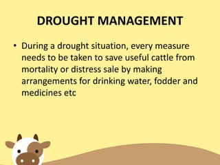 DROUGHT MANAGEMENT
• During a drought situation, every measure
needs to be taken to save useful cattle from
mortality or distress sale by making
arrangements for drinking water, fodder and
medicines etc
 