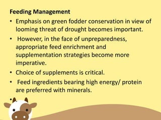 Feeding Management
• Emphasis on green fodder conservation in view of
looming threat of drought becomes important.
• However, in the face of unpreparedness,
appropriate feed enrichment and
supplementation strategies become more
imperative.
• Choice of supplements is critical.
• Feed ingredients bearing high energy/ protein
are preferred with minerals.
• .
 