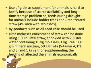 • Use of grain as supplement for animals is hard to
justify because of scarce availability and long-
time storage problem so, feeds during drought
for animals include fodder trees and urea-treated
straw [4% urea with Molasses].
• By-products such as oil seed cake should be used
• Urea molasses enrichment of straw can be done
using 1.00 quintal straw, sprinkled with 20 Liter
water containing 10 kg molasses, 1 kg urea, 500
gm mineral mixture, 50 g Brivita (Vitamin A, D3
and E) and 1 kg salt for supplementing the
feeding of affected the animals economically
 