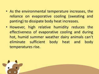 • As the environmental temperature increases, the
reliance on evaporative cooling (sweating and
panting) to dissipate body heat increases.
• However, high relative humidity reduces the
effectiveness of evaporative cooling and during
hot, humid summer weather dairy animals can’t
eliminate sufficient body heat and body
temperatures rise.
 