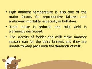 • High ambient temperature is also one of the
major factors for reproductive failures and
embryonic mortality, especially in buffaloes.
• Feed intake is reduced and milk yield is
alarmingly decreased.
• The scarcity of fodder and milk make summer
season lean for the dairy farmers and they are
unable to keep pace with the demands of milk
 