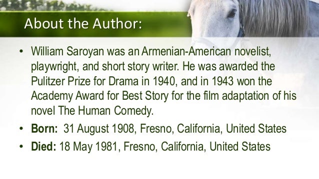 Summer Of The Beautiful White Horse