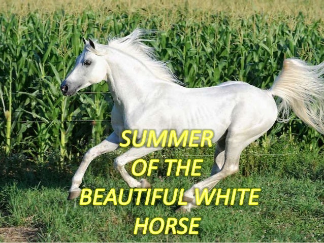 Summer Of The Butiful White Horse Classs11