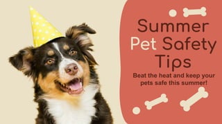 Summer
Pet Safety
Tips
Beat the heat and keep your
pets safe this summer!
 