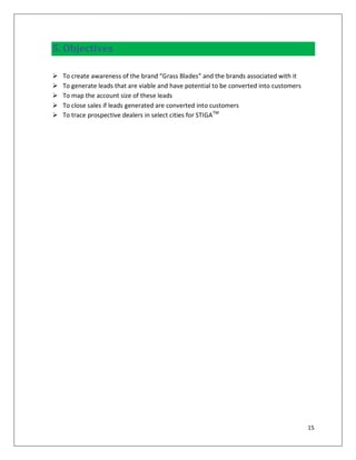 5. Objectives

   To create awareness of the brand “Grass Blades” and the brands associated with it
   To generate leads that are viable and have potential to be converted into customers
   To map the account size of these leads
   To close sales if leads generated are converted into customers
   To trace prospective dealers in select cities for STIGATM




                                                                                          15
 