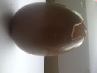 Summer project part 2