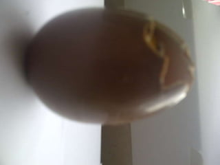 Summer project part 2