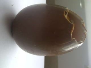 Summer project part 2