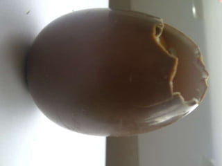 Summer project part 2