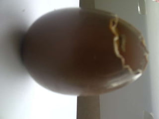 Summer project part 2