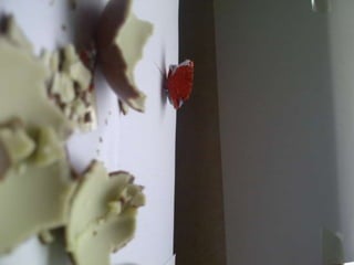 Summer project part 2