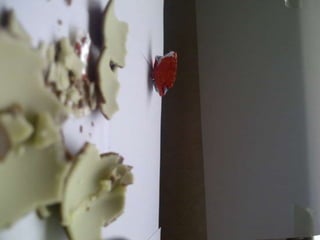 Summer project part 2