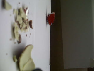 Summer project part 2