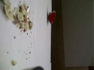 Summer project part 2