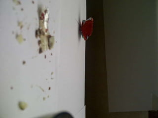 Summer project part 2