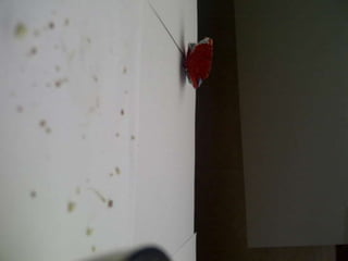 Summer project part 2