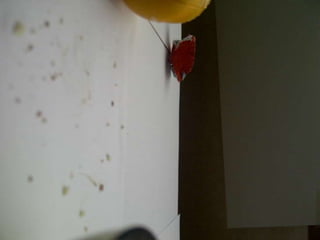 Summer project part 2