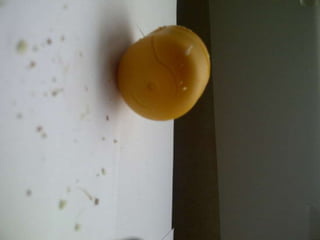 Summer project part 2