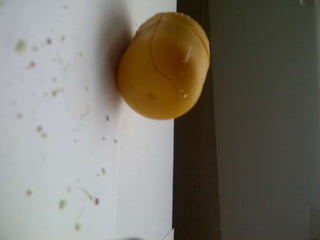 Summer project part 2