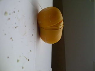 Summer project part 2