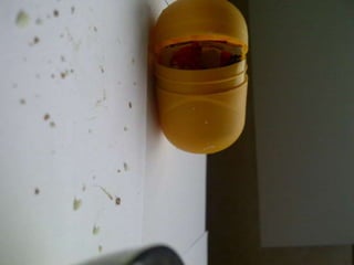 Summer project part 2