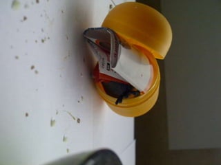 Summer project part 2