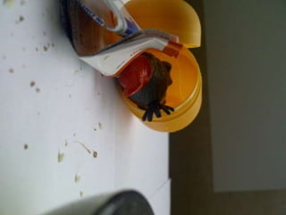 Summer project part 2