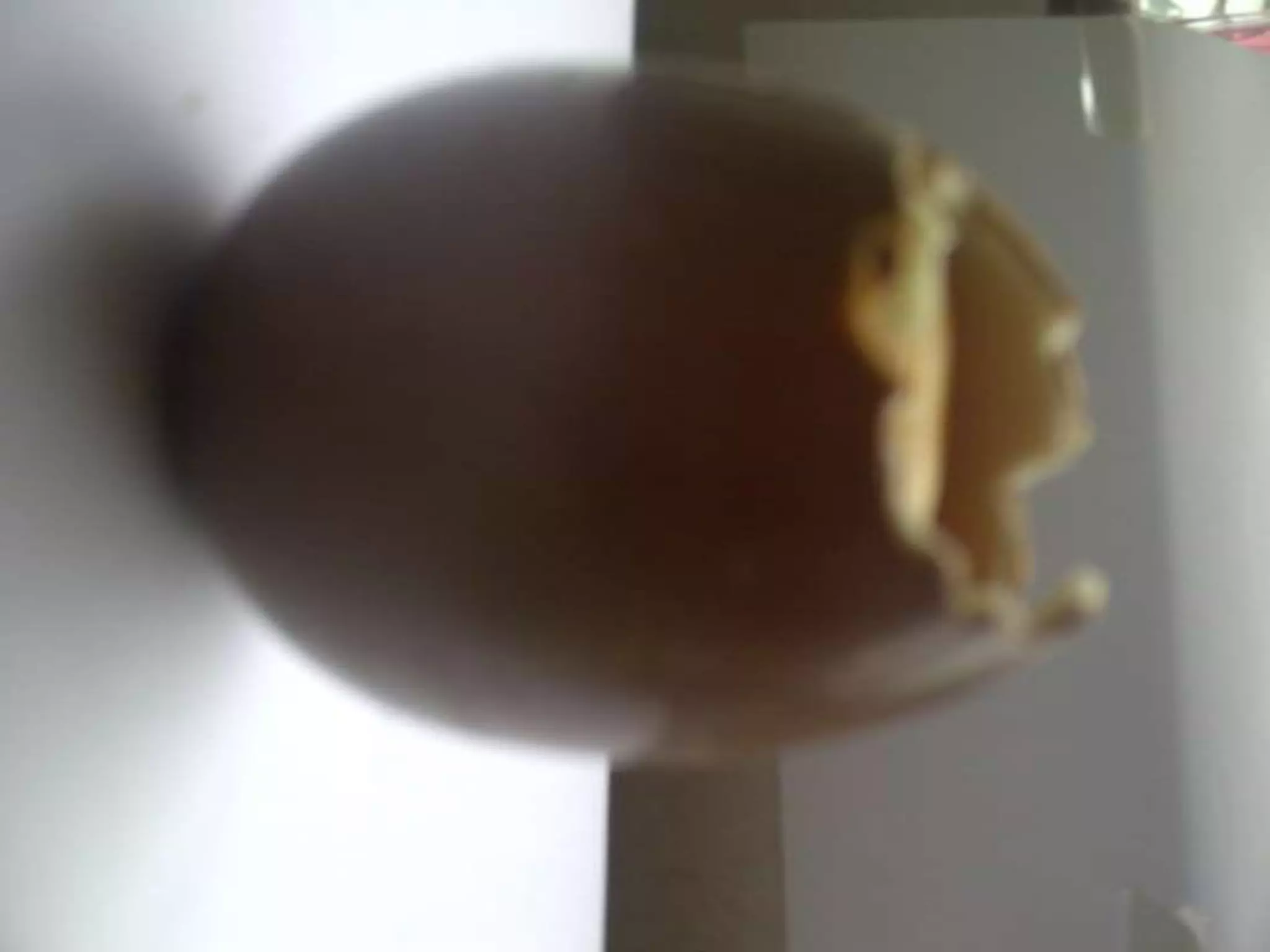 Summer project part 2