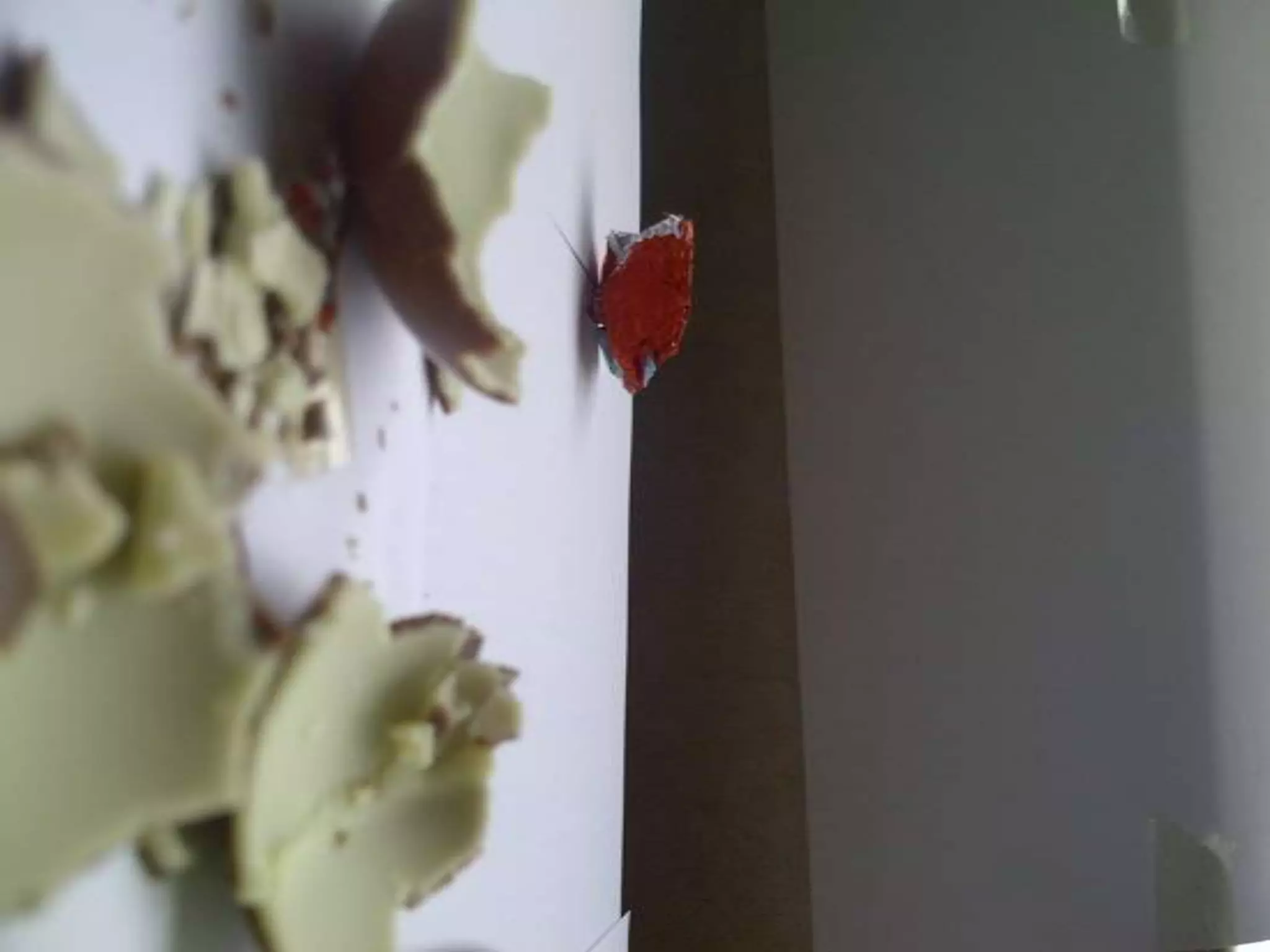 Summer project part 2