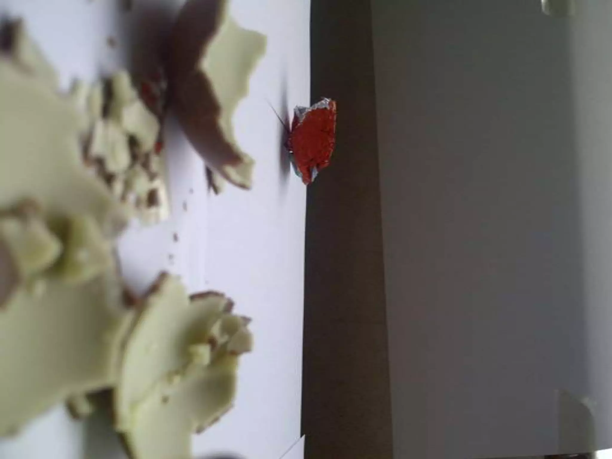 Summer project part 2