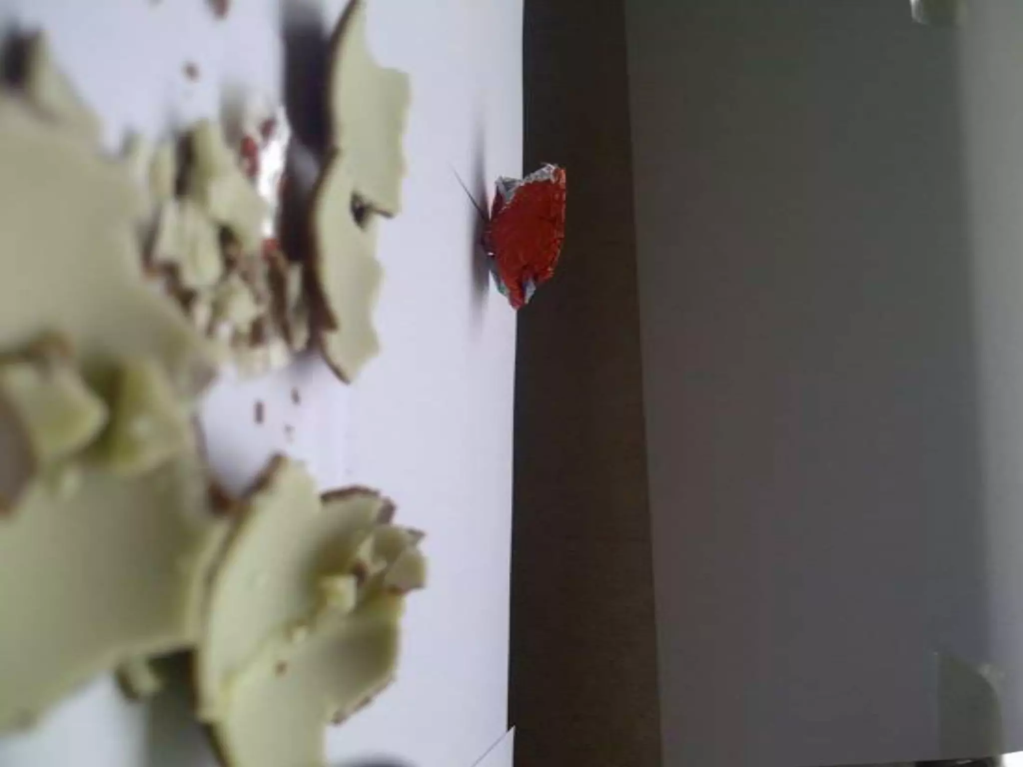 Summer project part 2