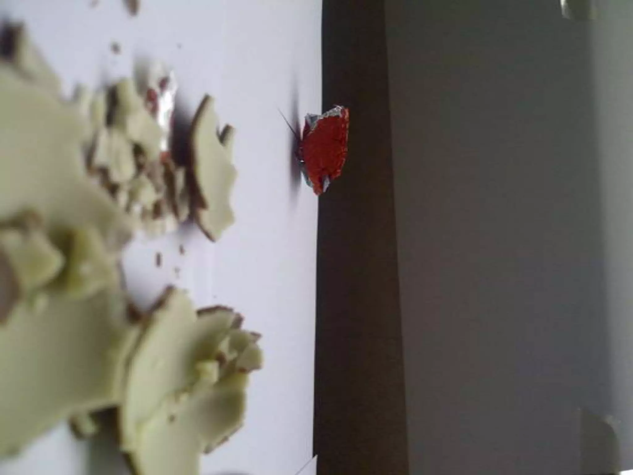 Summer project part 2