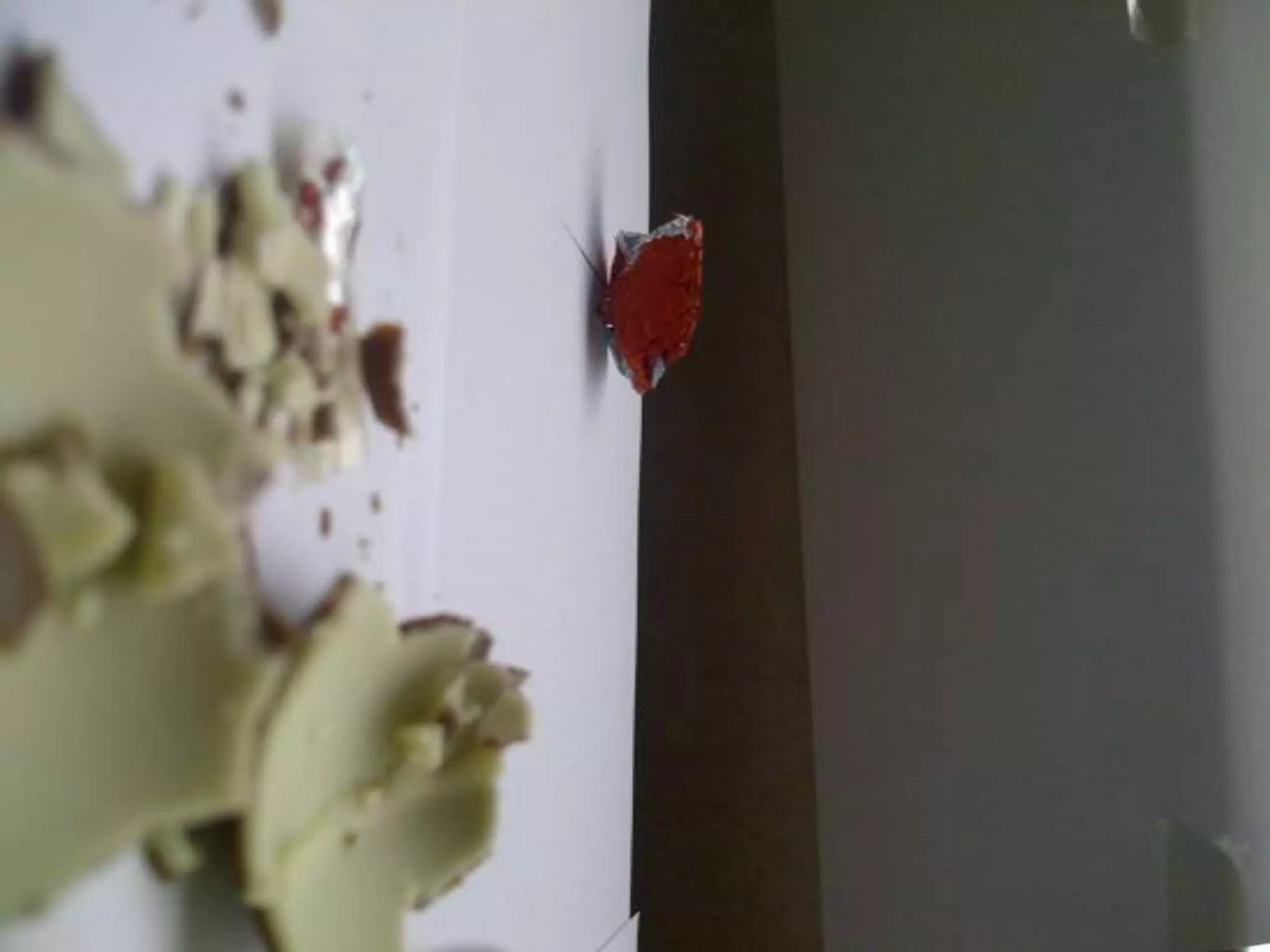 Summer project part 2