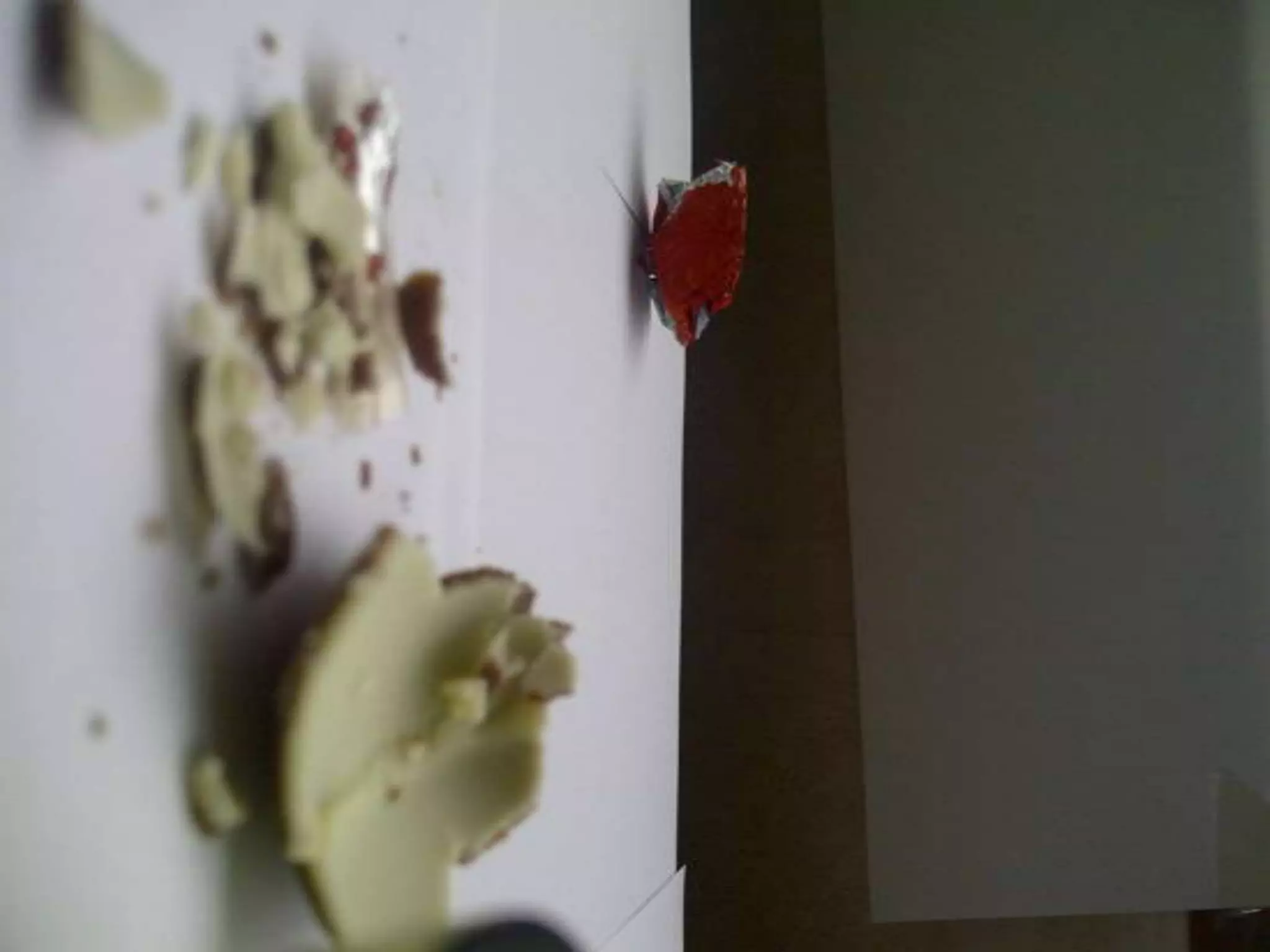 Summer project part 2