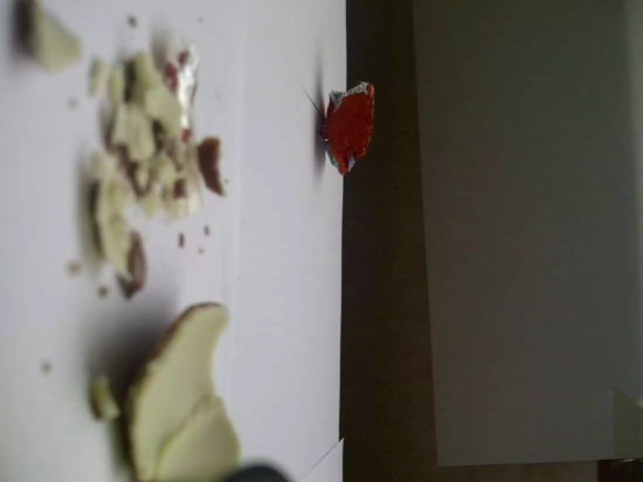 Summer project part 2