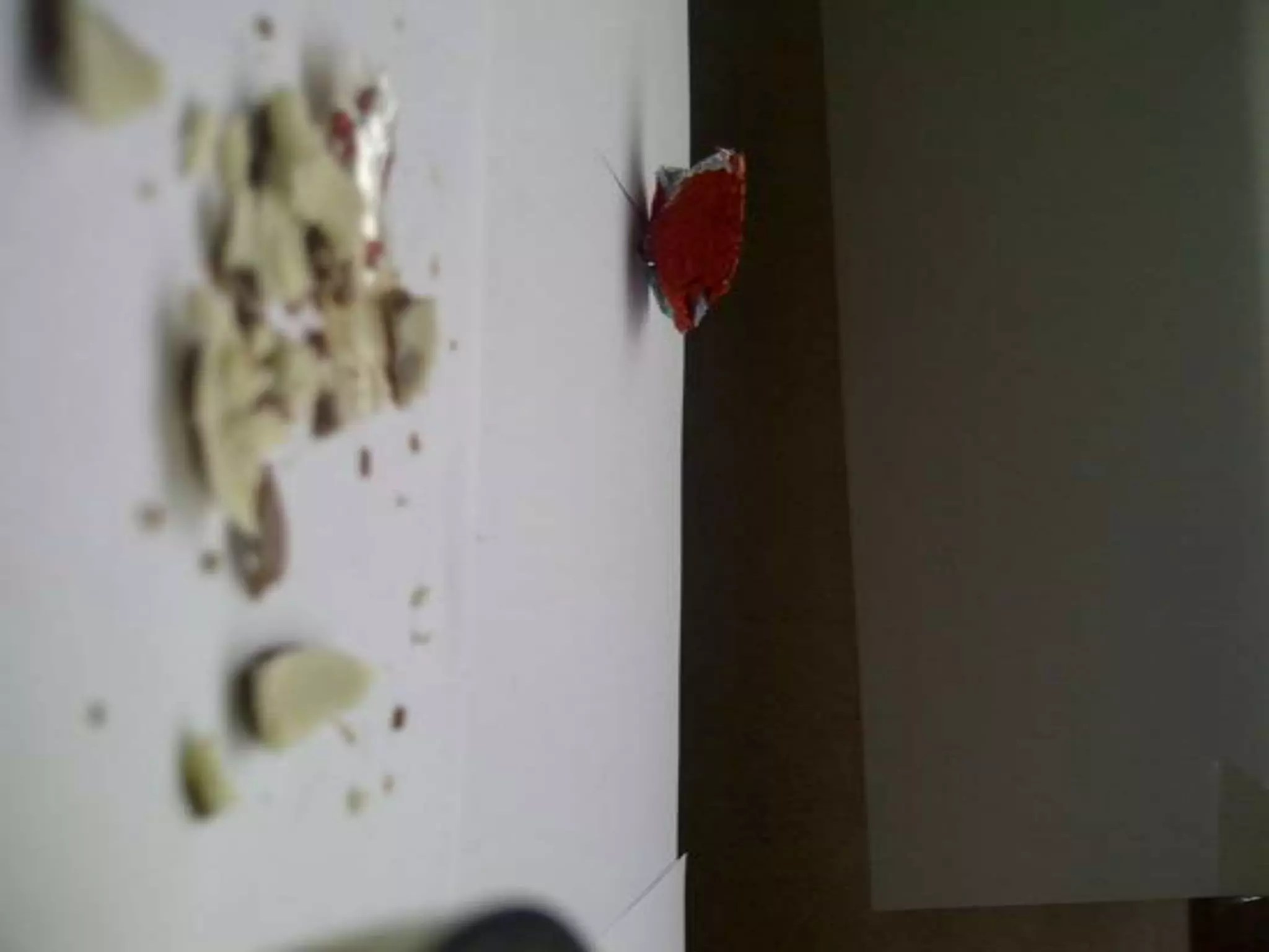 Summer project part 2