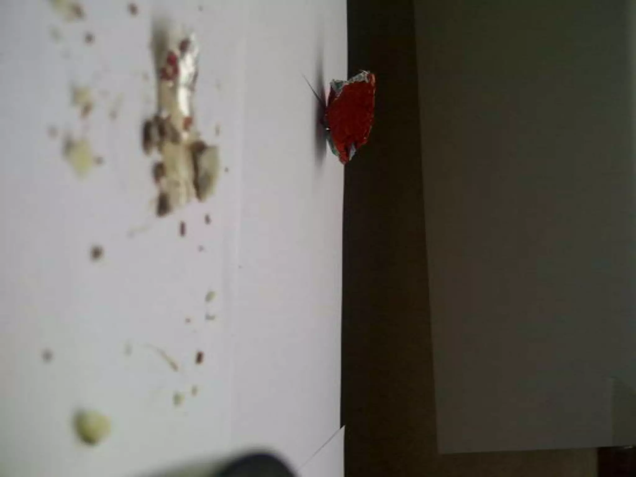 Summer project part 2