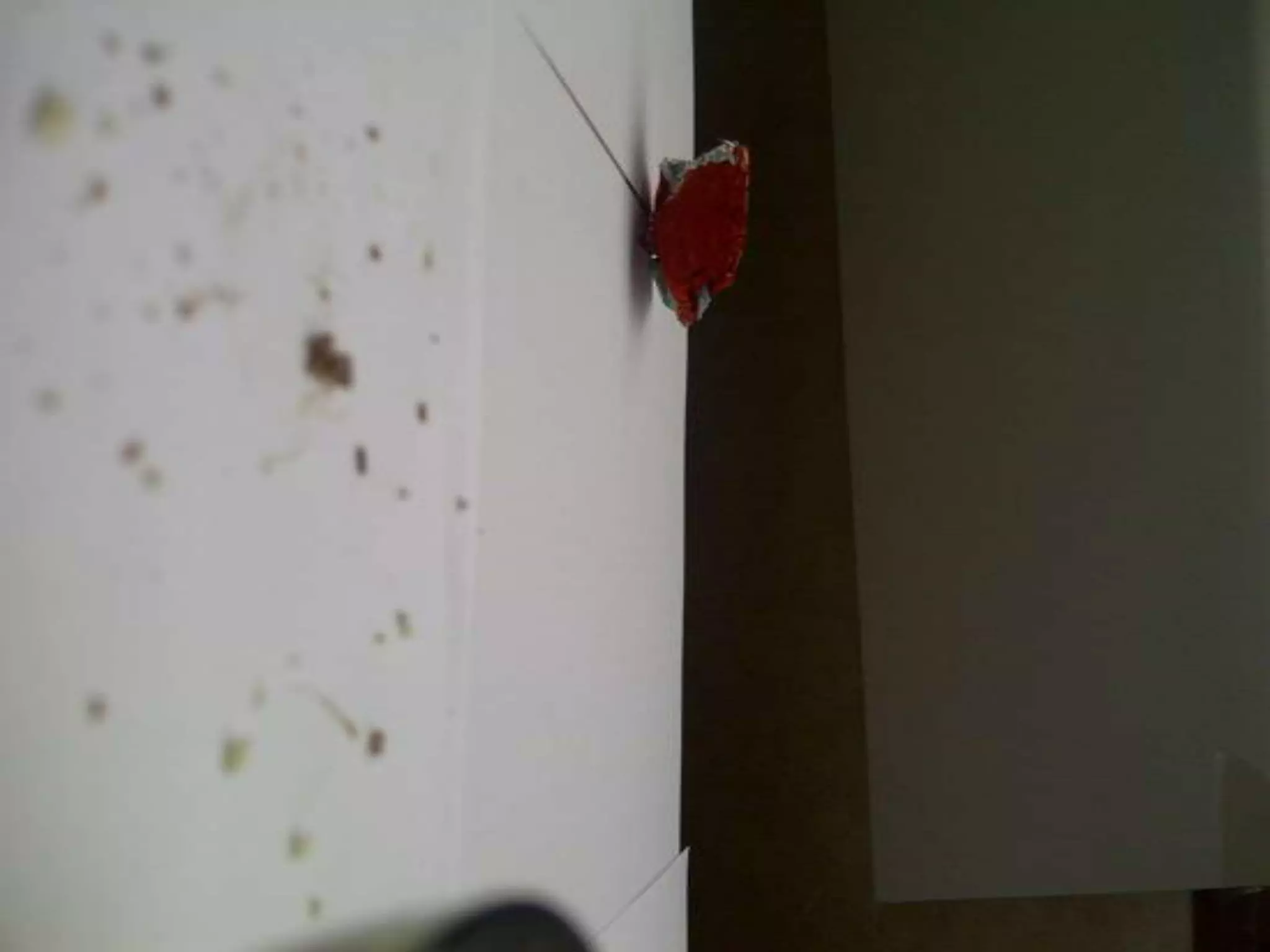 Summer project part 2