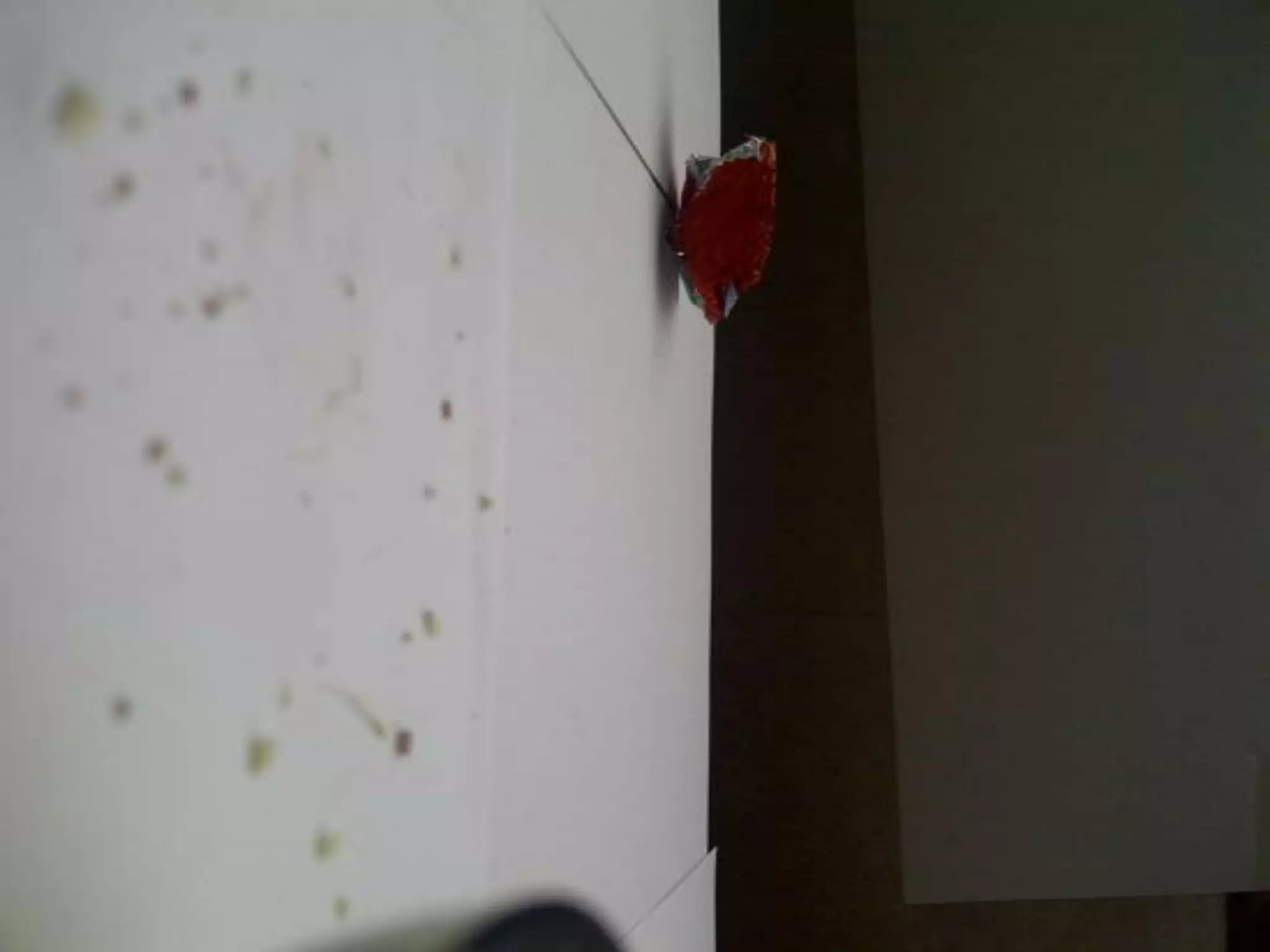 Summer project part 2