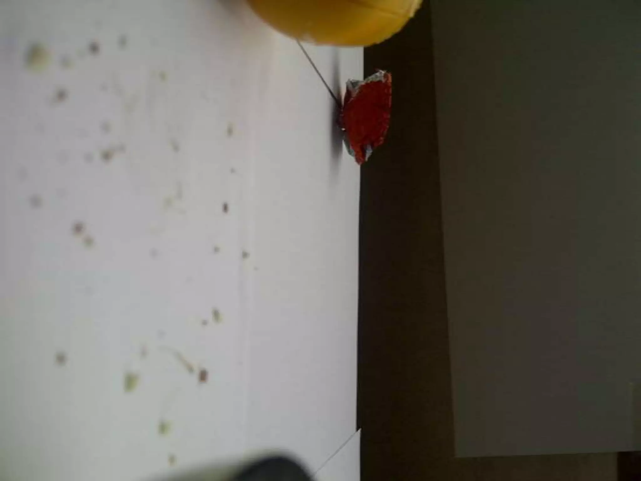 Summer project part 2