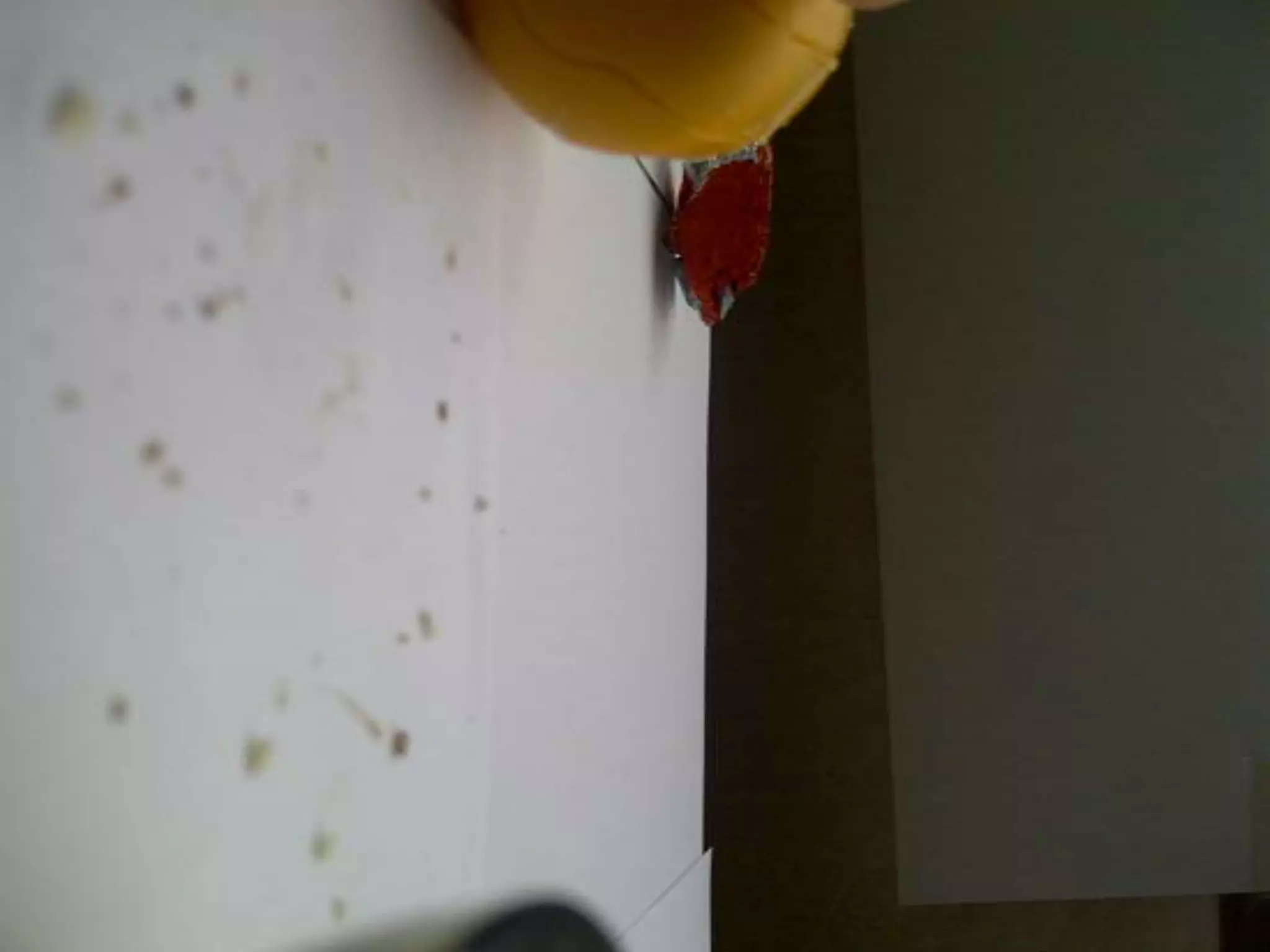 Summer project part 2