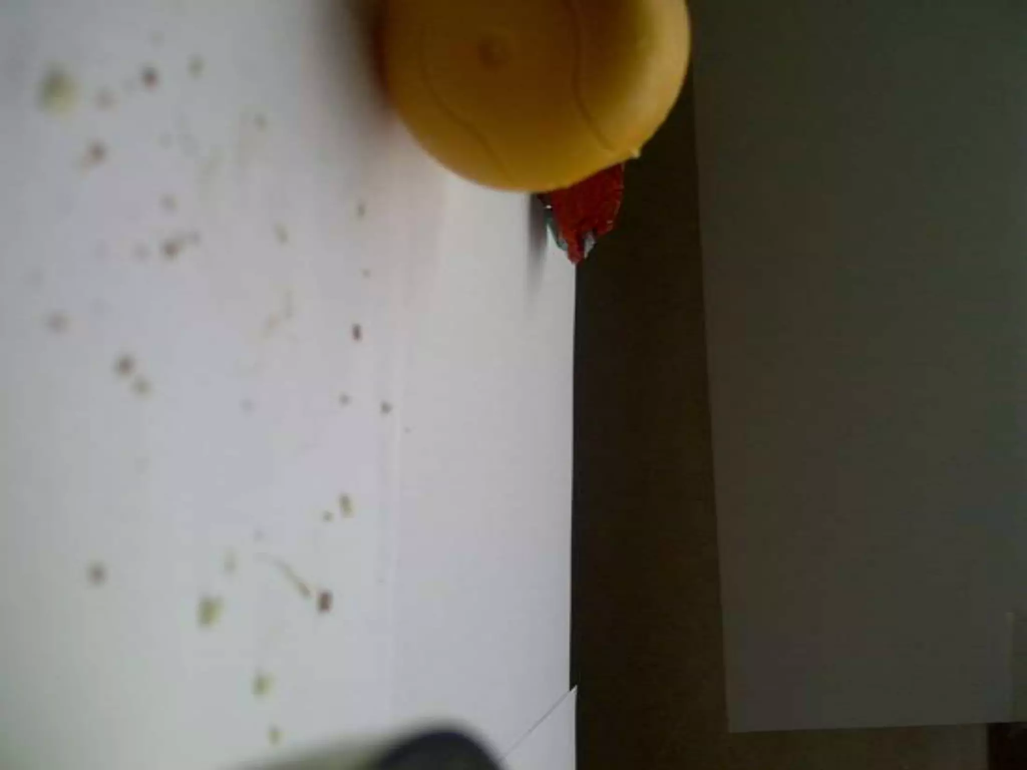 Summer project part 2