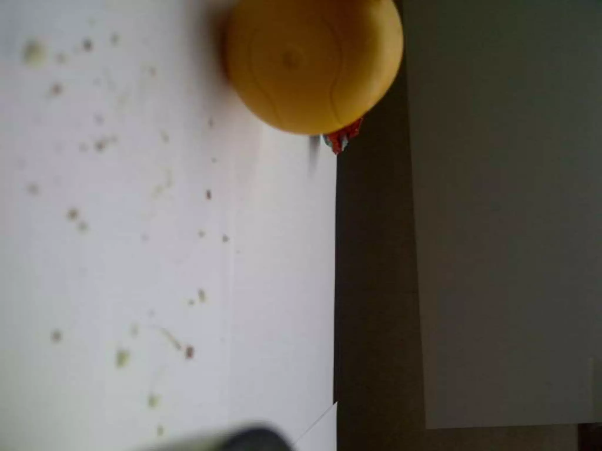 Summer project part 2