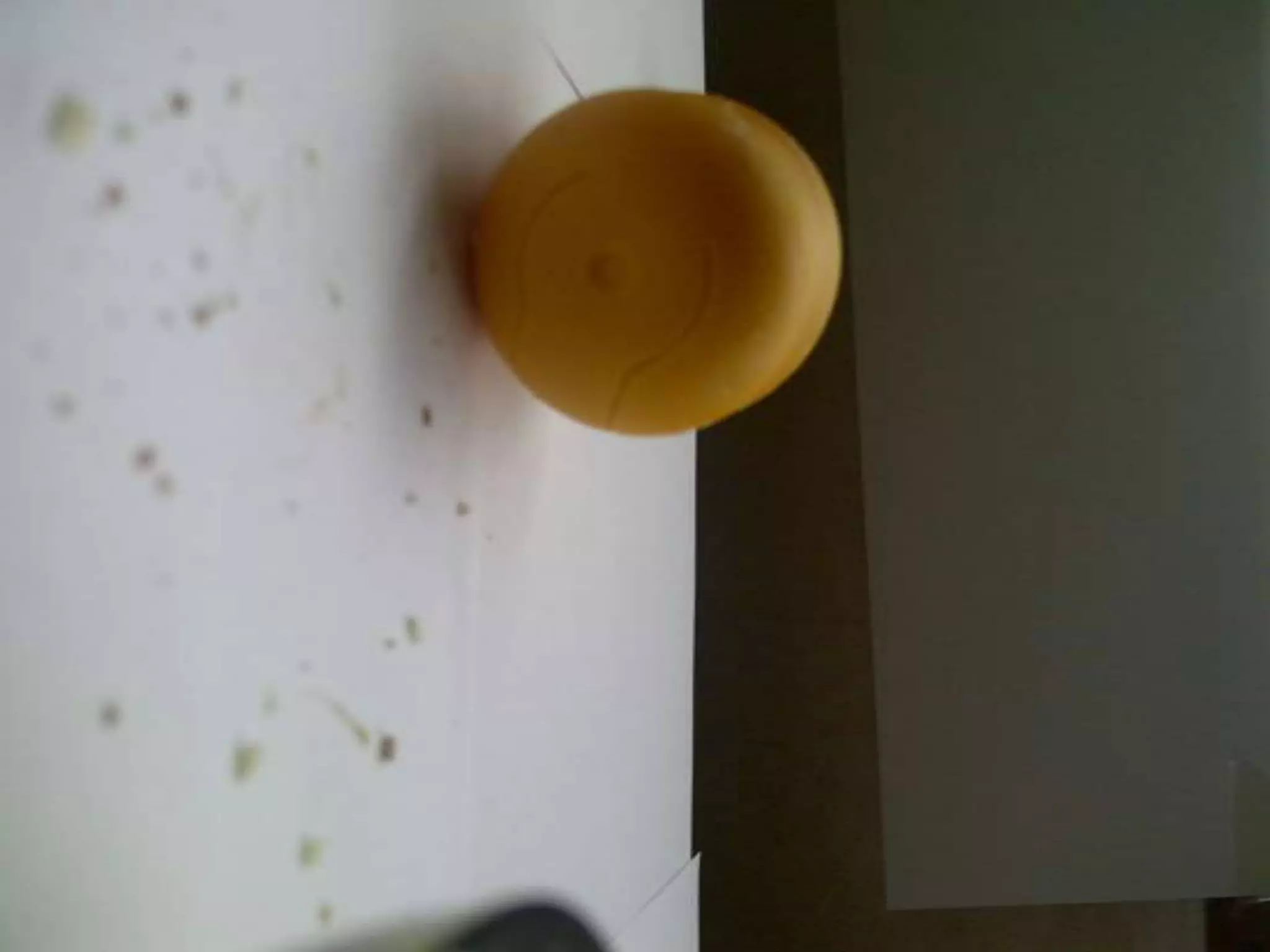 Summer project part 2