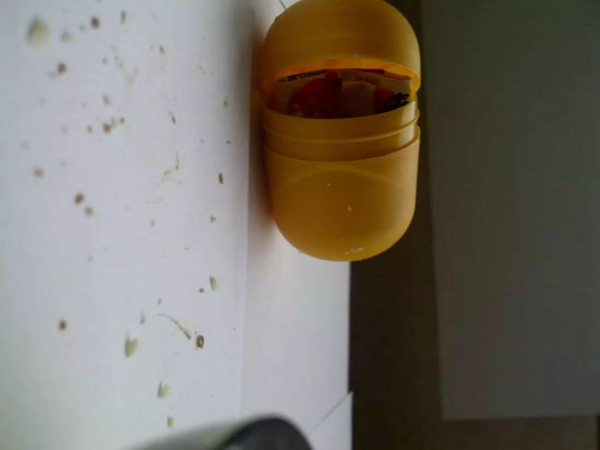 Summer project part 2